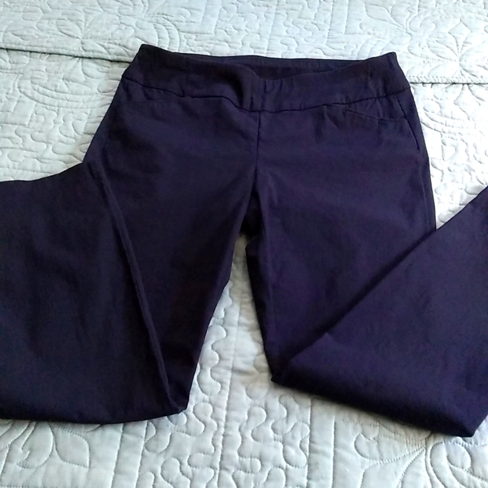 Navy Christopher and Banks Signature Slimming pants. Size 6.
